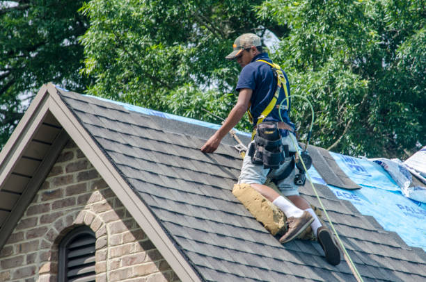 Best Roof Maintenance Services  in Antioch, CA